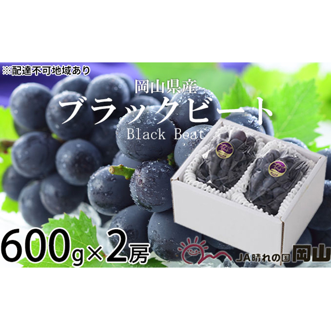 ぶどう 2025年 先行予約 ブラックビート 約600g×2房  ブドウ 葡萄  岡山県産 国産 フルーツ 果物 ギフト 岡山のブドウ デザート 食べ物 日本産 岡山県玉野市18000果物・フルーツマスカット・ぶ