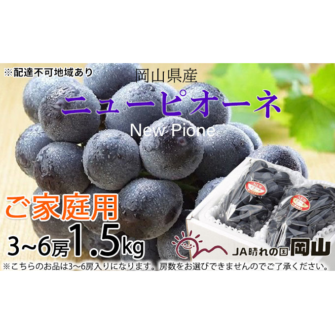 ぶどう 2025年 先行予約 ご家庭用 ニュー ピオーネ 3〜6房 約1.5kg ブドウ 葡萄  岡山県産 国産 フルーツ 果物 巨峰 美しい 外観 大粒 高糖度 種なし 皮ごと 芳醇 酸味 美味しい 絶妙 バランス 大