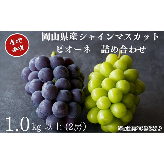 I VC}XJbgEj[sI[l 2[ v1.0kgȏ l Yn ̂ Ԃǂ  Kawahara Green Farm RY 2025N ʕ t[c lC Â Zbg Rʖs12000ʕEt
