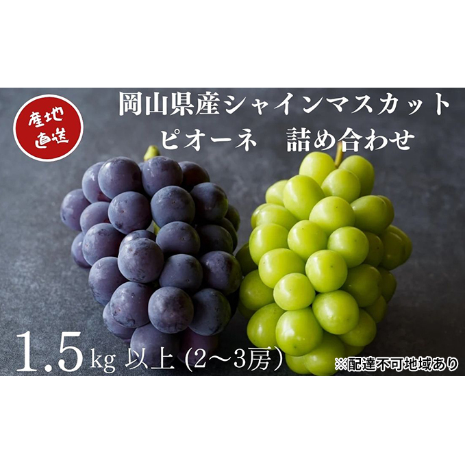 I VC}XJbgEj[sI[l 2`3[ v1.5kgȏ l Yn ̂ Ԃǂ  Kawahara Green Farm RY 2025N ʕ t[c lC Â Zbg Rʖs15000ʕE