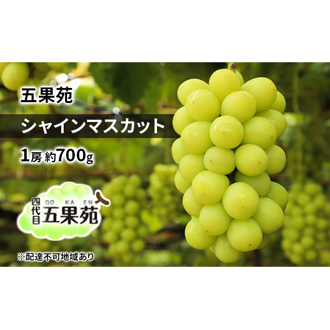 ぶどう 2025年 先行予約 シャイン マスカット 1房 約700g  ぶどう フルーツ 果物 贈り物 ギフト 岡山 五果苑 減農薬 甘い 美味しい 人気 種なし 皮ごと ご進物 最適 岡山県玉野市12000果物・フル