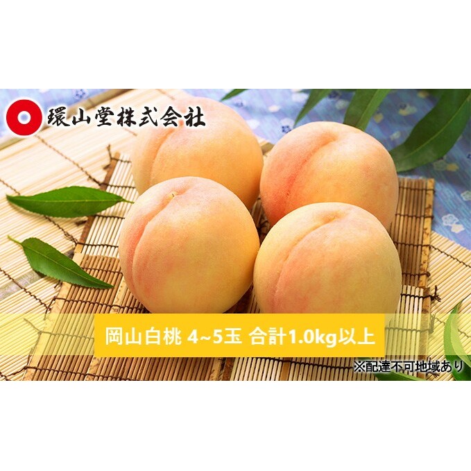 桃 2026年 先行予約 岡山 白桃 4〜5玉 合計1.0kg以上 もも モモ 岡山県産 国産 フルーツ 果物 ギフト 環山堂 岡山県玉野市17000果物・フルーツもも・すもも