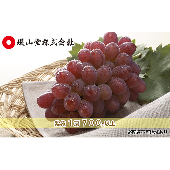ぶどう 2025年 先行予約 冬 紫苑 1房 700g以上 ブドウ 葡萄  岡山県産 国産 フルーツ 果物 ギフト 環山堂 岡山県玉野市14000果物・フルーツマスカット・ぶどう