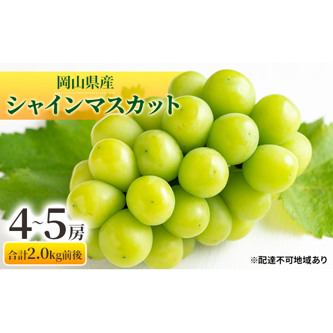 Ԃǂ 2025N s\ VC}XJbg  4`5[ v2.0kgO }XJbg uhE   RY Y t[c ʕ Mtg Rʖs52000ʕEt[c}XJbgEԂǂ