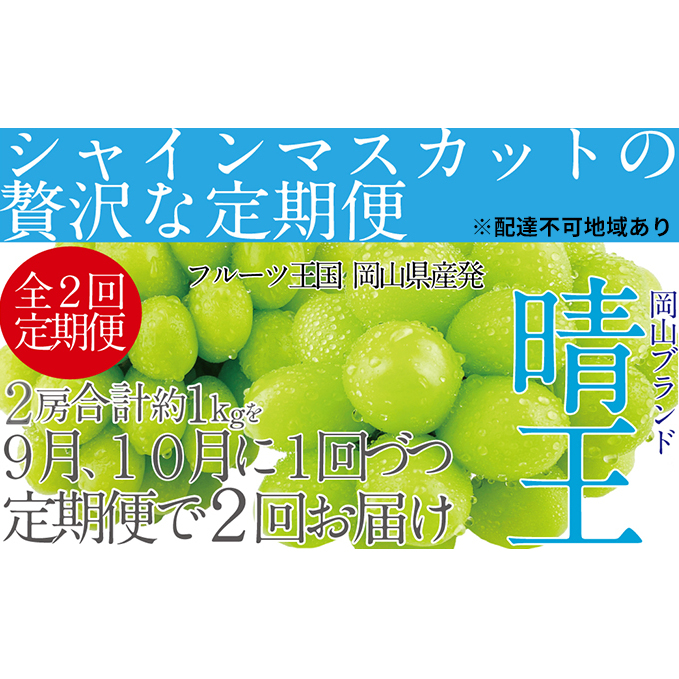 ぶどう2025年 先行予約 9月・10月発送 シャイン マスカット 晴王 2房(合計約1kg) ブドウ 葡萄  岡山県産 国産 フルーツ 果物 ギフト 岡山県玉野市53000果物・フルーツマスカット・ぶどう