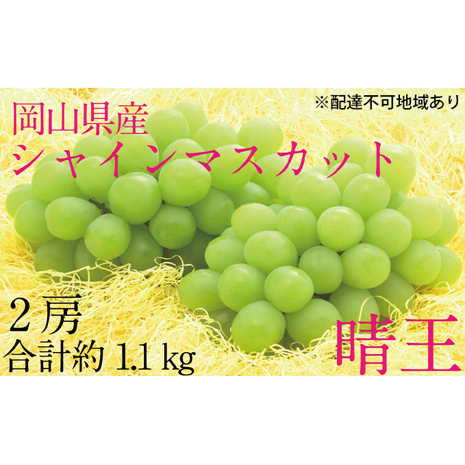 Ԃǂ 2025N s\ VC }XJbg  2[iv1.1kgj uhE   RY Y t[c ʕ Mtg Rʖs28000ʕEt[c}XJbgEԂǂ