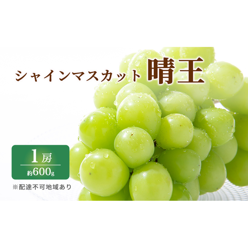 ぶどう 2025年 先行予約 特選 シャイン マスカット 晴王 1房 約600g ブドウ 葡萄  岡山県産 国産 フルーツ 果物 ギフト いろは堂 岡山県玉野市22000果物・フルーツマスカット・ぶどう