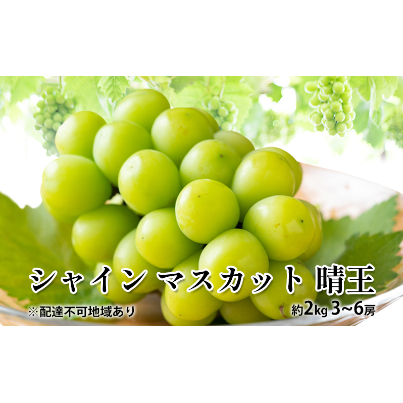ぶどう 2025年 先行予約 シャイン マスカット 晴王 約2kg 3〜6房 種無し ブドウ 葡萄  岡山県産 国産 フルーツ 果物 ギフト 岡山県玉野市28000果物・フルーツマスカット・ぶどう
