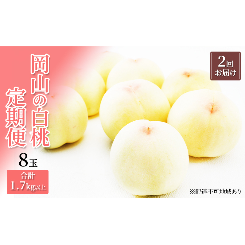 桃 定期便 2026年 先行予約 岡山 の 白桃 8玉 合計1.7kg以上×2回 お届け 化粧箱入り もも モモ 岡山産 国産 フルーツ 果物 ギフト 岡山県玉野市60000果物・フルーツもも・すもも