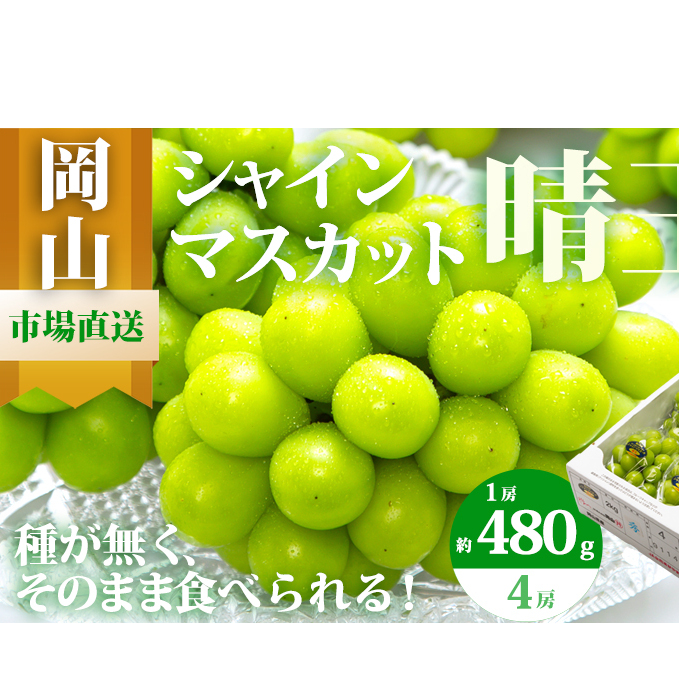 ぶどう 2025年 先行予約 シャイン マスカット 晴王 4房(1房480g以上)約2kg マスカット ブドウ 葡萄 岡山県産 国産 フルーツ 果物 ギフト 果物類 ぶどう 岡山県玉野市50000果物・フルーツ