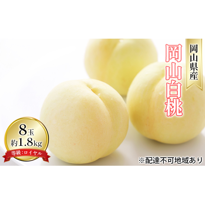  2026N s\ R  8 1.8kg FCi1 220gȏj   RY Y t[c ʕ Mtg Rʖs25000ʕEt[cE