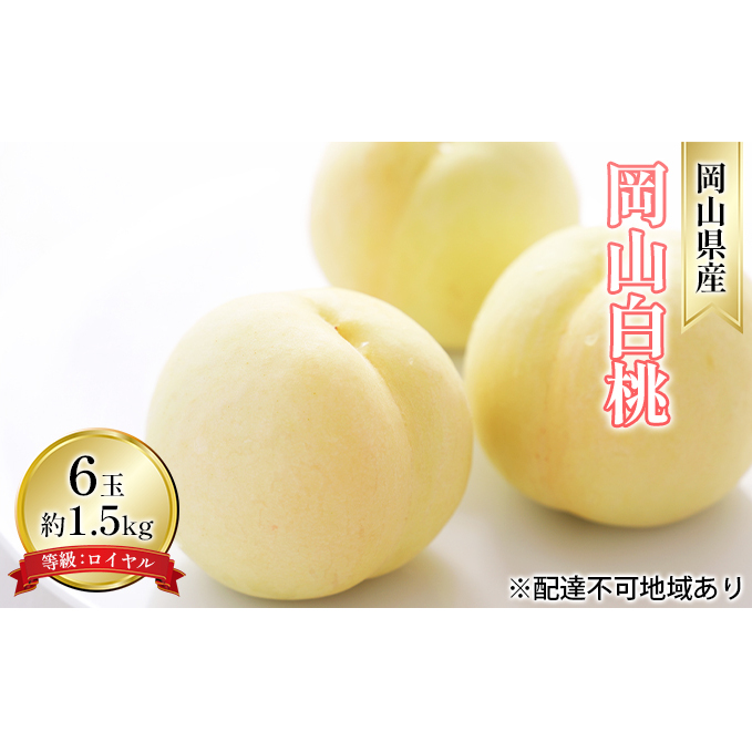 桃 2026年 先行予約 岡山 白桃 6玉 約1.5kg 等級:ロイヤル(1玉 240g以上) もも モモ 岡山県産 国産 フルーツ 果物 ギフト 岡山県玉野市23000果物・フルーツもも・すもも