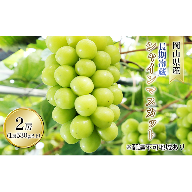 ぶどう 2025年 先行予約 長期冷蔵 シャイン マスカット 2房入り(1房 530g以上) ブドウ 葡萄  岡山県産 国産 フルーツ 果物 ギフト 岡山県玉野市23000果物・フルーツマスカット・ぶどう