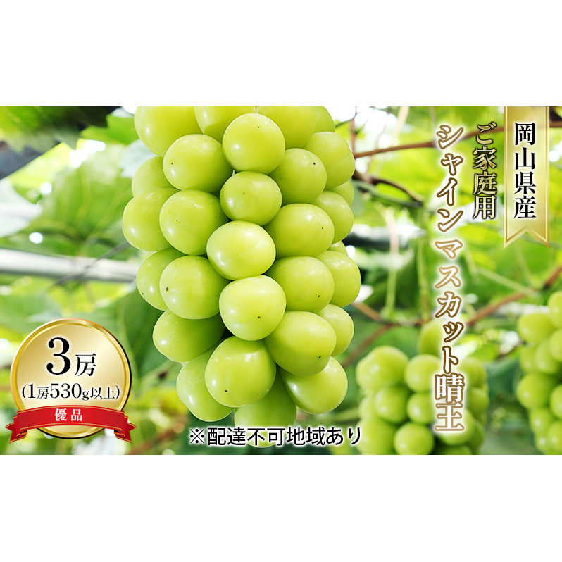 ぶどう 2025年 先行予約 ご家庭用 シャイン マスカット 晴王 優品 3房入り(1房 530g以上 露地栽培) ブドウ 葡萄  岡山県産 国産 フルーツ 果物 岡山県玉野市21000果物・フルーツマスカット・ぶ