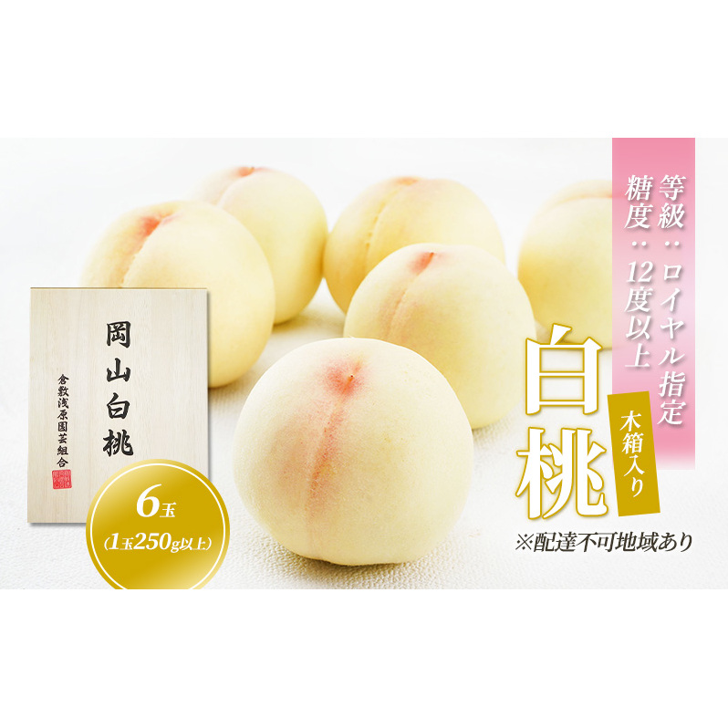 桃 2024年 先行予約 白桃 6玉 (1玉250g以上) 等級:ロイヤル指定/糖度:12度以上 木箱入り 岡山 もも モモ 岡山県産 国産 フルーツ 果物 ギフト 岡山県玉野市74000果物・フルーツもも・すもも
