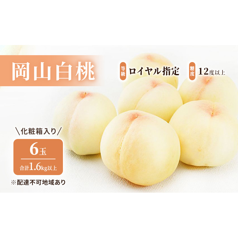 桃 2024年 先行予約 岡山 白桃 6玉  (1.6kg以上)    等級:ロイヤル指定/糖度:12度以上 化粧箱入り もも モモ 岡山県産 国産 フルーツ 果物 ギフト 岡山県玉野市52000果物・フルーツもも・すもも