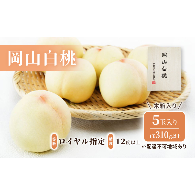 桃 2026年 先行予約 岡山 白桃 5玉(1玉310g以上)等級:ロイヤル指定/糖度:12度以上 木箱入り もも モモ 岡山県産 国産 フルーツ 果物 ギフト 岡山県玉野市51000果物・フルーツもも・すもも