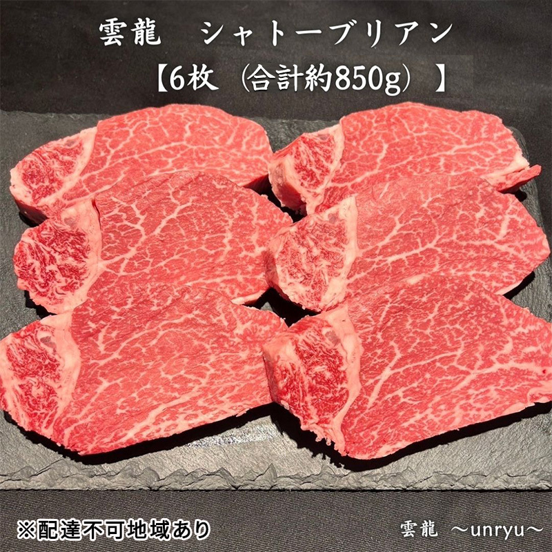 黒毛和牛 岡山県産 シャトーブリアン 6枚(合計約850g)  雲龍 肉 お肉 牛肉 和牛 焼肉 岡山県玉野市116000肉牛肉