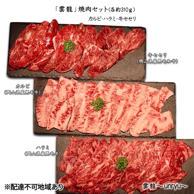黒毛和牛 焼肉 セット 合計約930g カルビ ハラミ 牛セセリ【雲龍焼肉たれ付】 雲龍  岡山県産 肉 お肉 牛肉 和牛 牛カルビ 牛ハラミ せせり 焼肉セット 焼き肉 3種 岡山県玉野市39000肉牛肉
