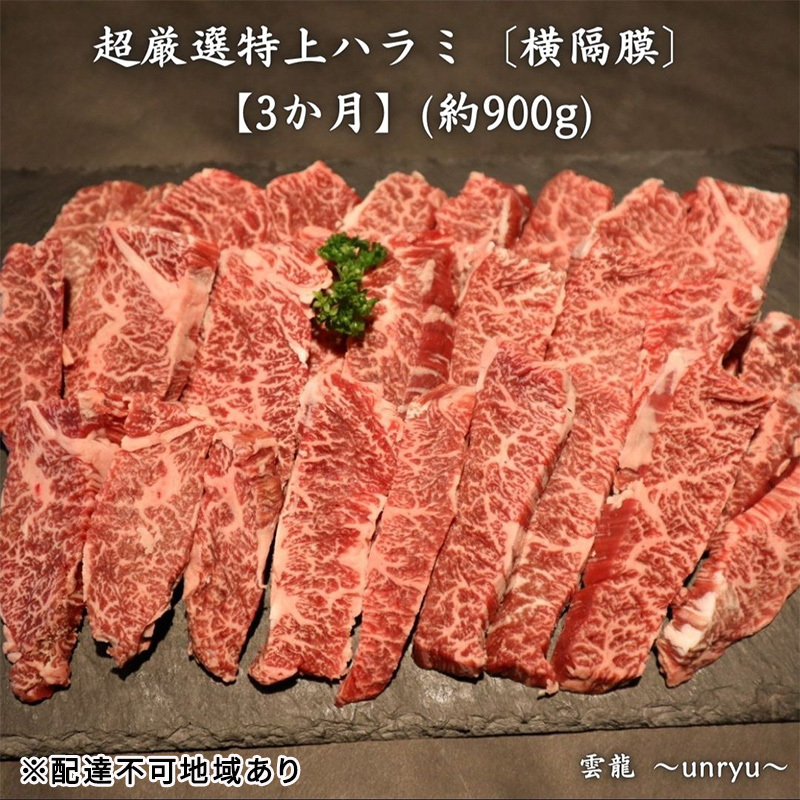 定期便 3ヶ月 厳選 特上 ハラミ (横隔膜) 各回合計約900g【雲龍焼肉たれ付】 雲龍  岡山県産 肉 お肉 牛肉 和牛 焼肉 牛ハラミ 3回 お楽しみ 岡山県玉野市385000肉牛肉