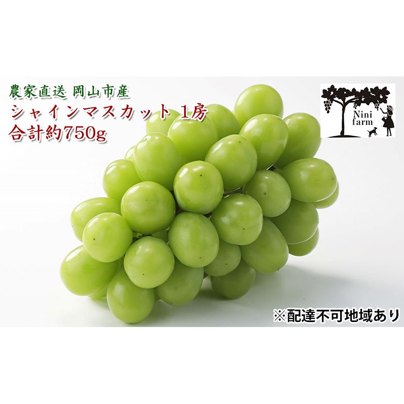 ぶどう 2025年 先行予約  【平均糖度20度】農家こだわりの シャイン マスカット 1房 約750g 贈答クラス ブドウ 葡萄 岡山県産 国産 フルーツ 果物 ギフト 【 Nini farm 農家 直送 】 岡山のぶどう