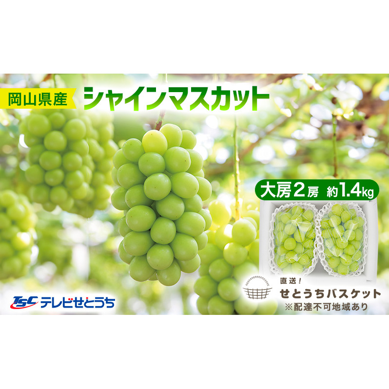 Ԃǂ 2025N s\ VC }XJbg [ 2[ 1.4kg uhE  RY Y t[c ʕ IƂoXPbg Rʖs31000ʕEt[c}XJbgEԂǂ
