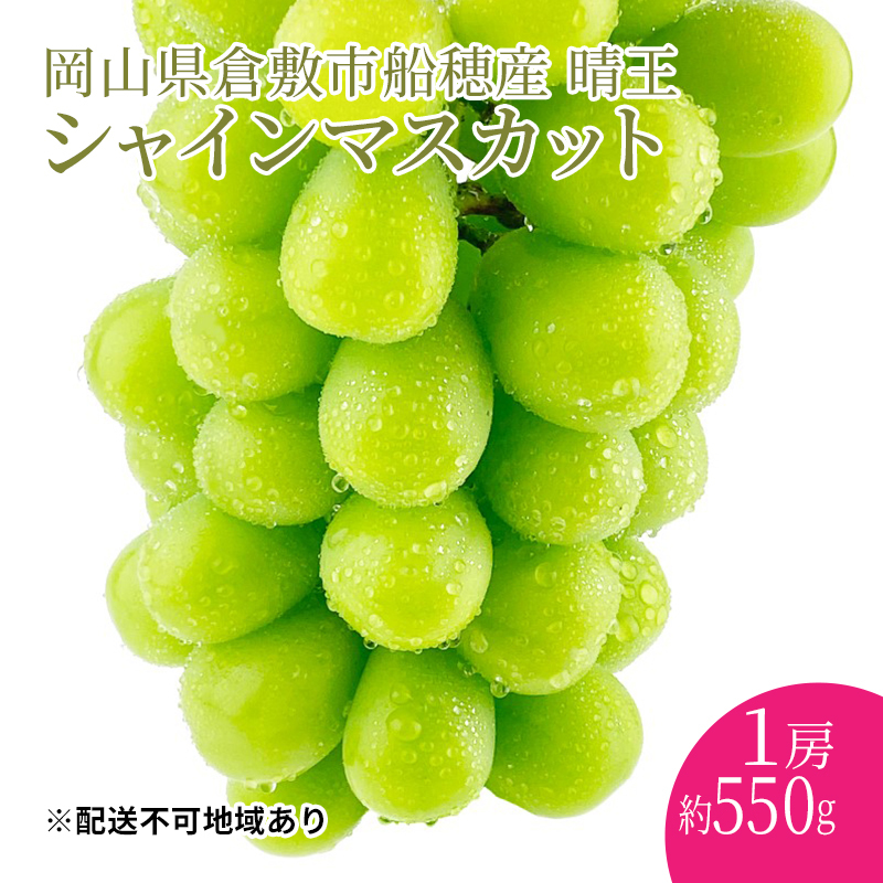 ぶどう 2025年度分 先行予約 【プレミアムシャインマスカット 晴王 1房 約550g】船穂産 赤秀品以上  岡山県産 葡萄 ブドウ ギフト ハレノフルーツ 皮ごと食べる みずみずしい 岡山県玉野市230