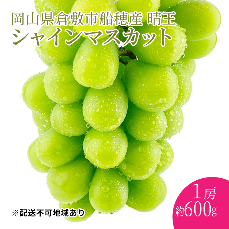 ぶどう 2025年度分 先行予約 【プレミアムシャインマスカット 晴王 1房 約600g】船穂産 赤秀品以上  岡山県産 葡萄 ブドウ ギフト ハレノフルーツ 皮ごと食べる みずみずしい 岡山県玉野市250