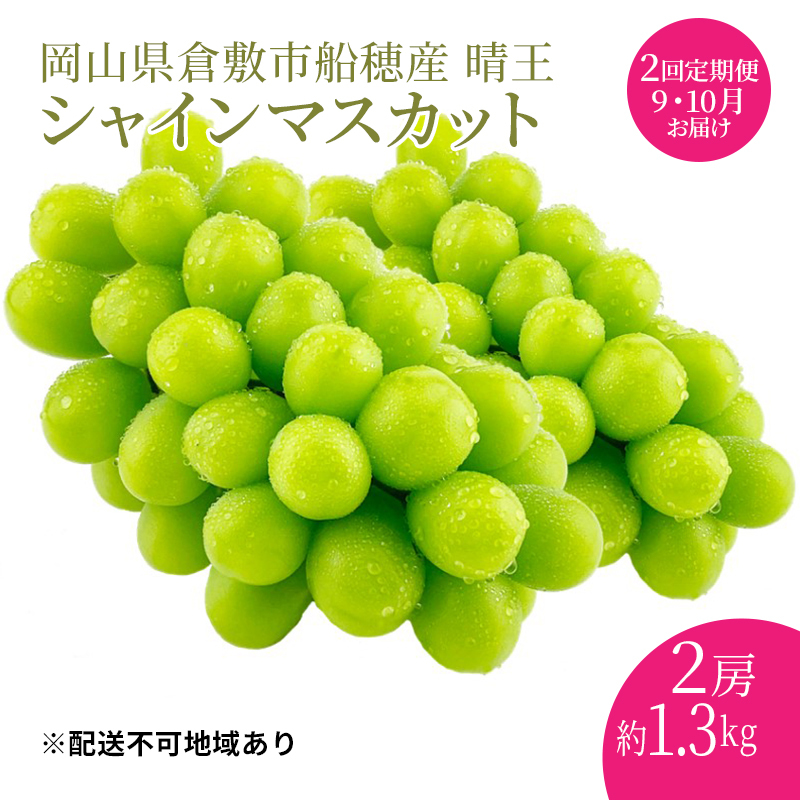 ぶどう 2025年度分 先行予約 【プレミアムシャインマスカット 晴王 2房 約1.3kg 定期便 2回】船穂産 赤秀品以上  岡山県産 葡萄 ブドウ ギフト ハレノフルーツ 皮ごと食べる みずみずしい 岡