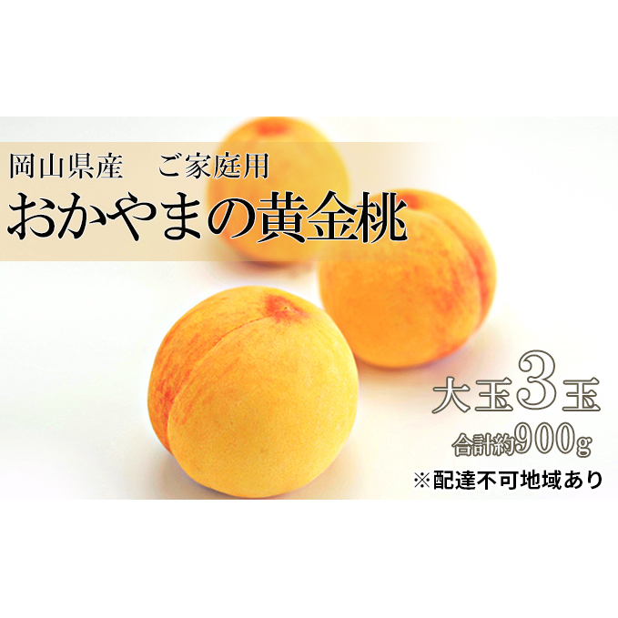 桃 2026年 先行予約 ご家庭用 おかやま の 黄金桃  大玉 3玉(合計約900g) もも モモ 岡山県産 国産 フルーツ 果物岡山県玉野市12000果物・フルーツ