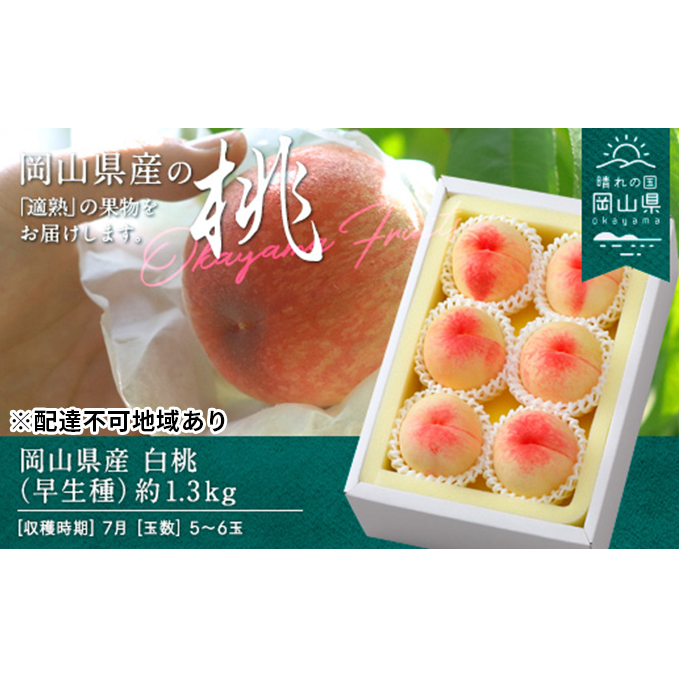 桃 2026年 先行予約 白桃 早生種 約1.3kg  5〜6玉 もも モモ 岡山県産 国産 フルーツ 果物 ギフト岡山県玉野市18000果物・フルーツ