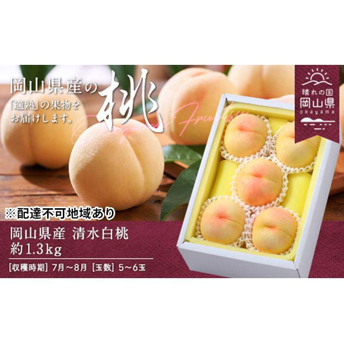 桃 2026年 先行予約 清水白桃 約1.3kg 5〜6玉 もも モモ 岡山県産 国産 フルーツ 果物 ギフト岡山県玉野市23000果物・フルーツ