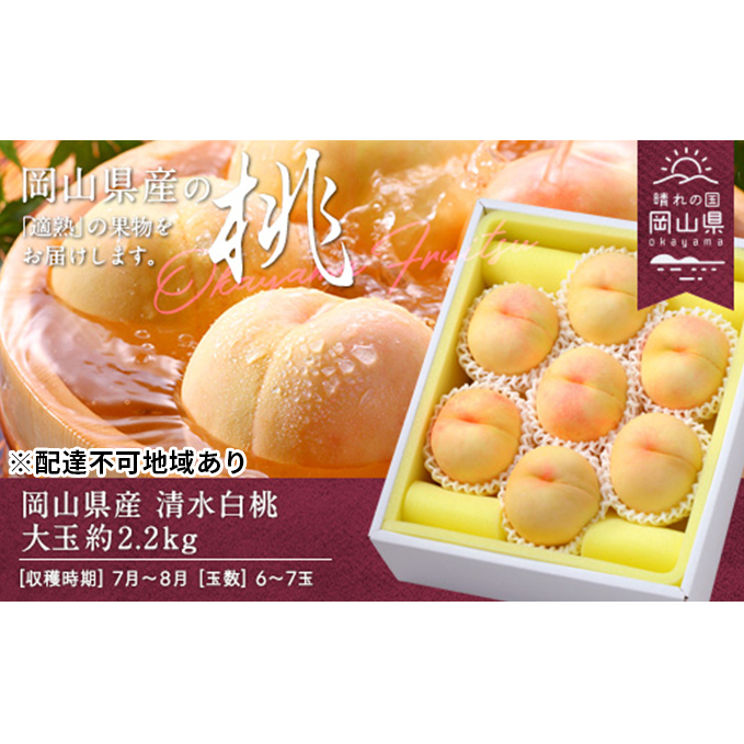 桃 2026年 先行予約 清水白桃 約2.2kg 大玉 6〜7玉 もも モモ 岡山県産 国産 フルーツ 果物 ギフト 岡山県玉野市40000果物・フルーツ