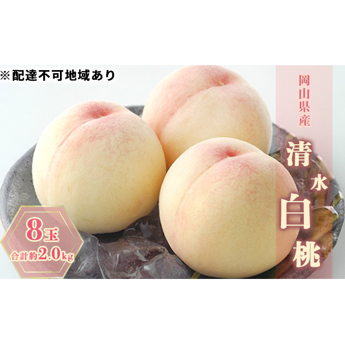 2026N s\  8 v2.0kg   RY Y t[c ʕ MtgRʖs45000ʕEt[c