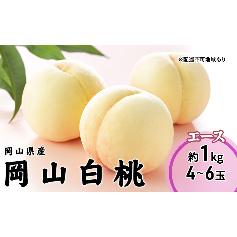 桃 2026 年先行予約 岡山 白桃 エース 4〜6玉 1kg 岡山県産 JAおかやまのもも モモ 岡山県産 国産 フルーツ 果物 ギフト 岡山県玉野市13000果物・フルーツもも・すもも
