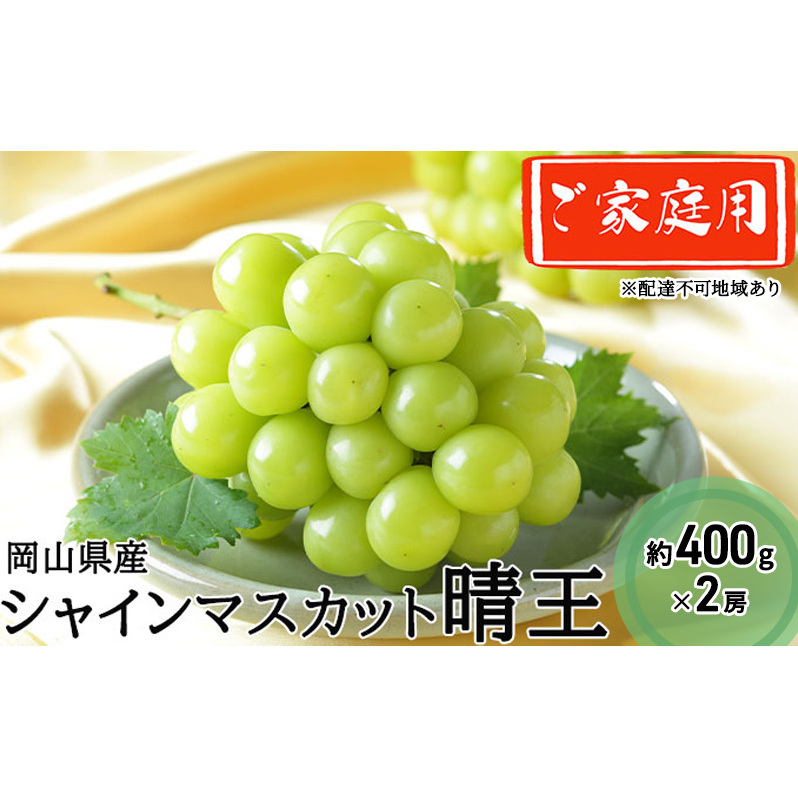 ぶどう 2025年 先行予約 ご家庭用 シャイン マスカット 晴王 約400g×2房 ブドウ 葡萄 岡山県産 国産 フルーツ 果物 岡山県玉野市18000果物・フルーツマスカット・ぶどう