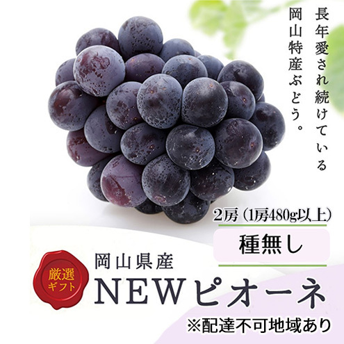 Ԃǂ 2025N s\ j[sI[l2[(1[480gȏ) ϔ uhE  RY Y t[c ʕ Mtg Rʖs20000ʕEt[c}XJbgEԂǂ