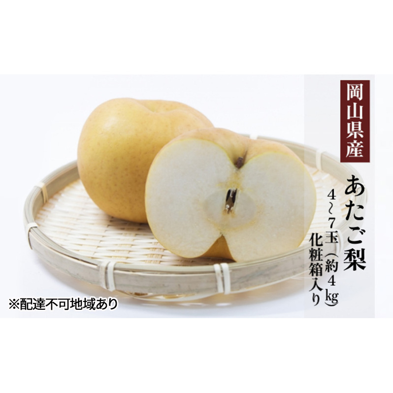 梨 2025年 先行予約 あたご梨 4〜7玉(約4kg) 化粧箱入り なし ナシ 岡山県産 国産 フルーツ 果物 ギフト 岡山県玉野市25000果物・フルーツりんご・梨