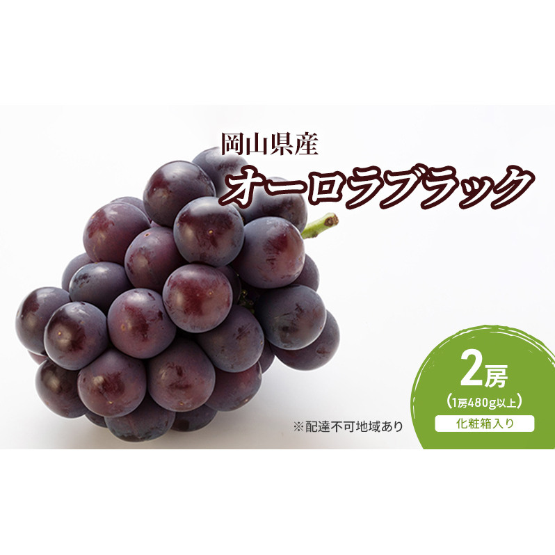 ぶどう 2026年 先行予約 オーロラブラック 2房(1房480g以上) 化粧箱入り ブドウ 葡萄 岡山県産 国産 フルーツ 果物 ギフト 岡山県玉野市17000果物・フルーツマスカット・ぶどう