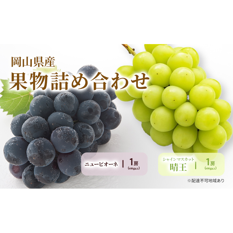 Ԃǂ 2025N s\ l/j[sI[l 1[(480gȏ)EVC}XJbg 1[(480gȏ) ϔ uhE  RY Y t[c ʕ Mtg Rʖs20000ʕEt[