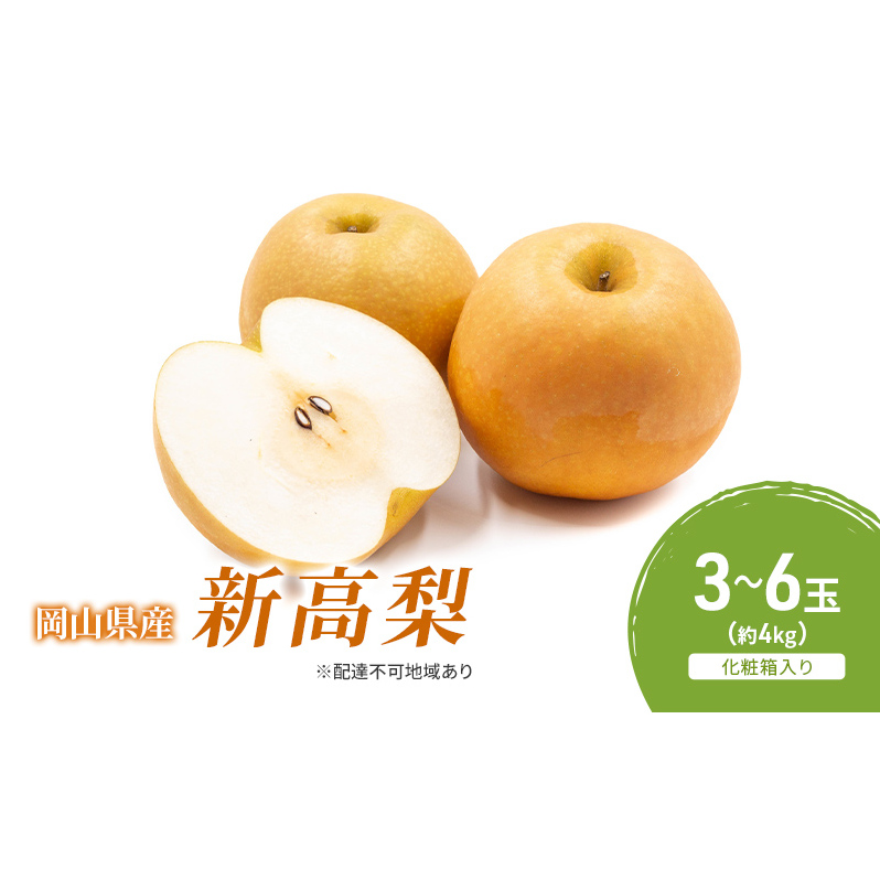 梨 2025年 先行予約 新高梨 3-6玉(約4kg) 化粧箱入り なし ナシ 岡山県産 国産 フルーツ 果物 ギフト 岡山県玉野市21000果物・フルーツりんご・梨