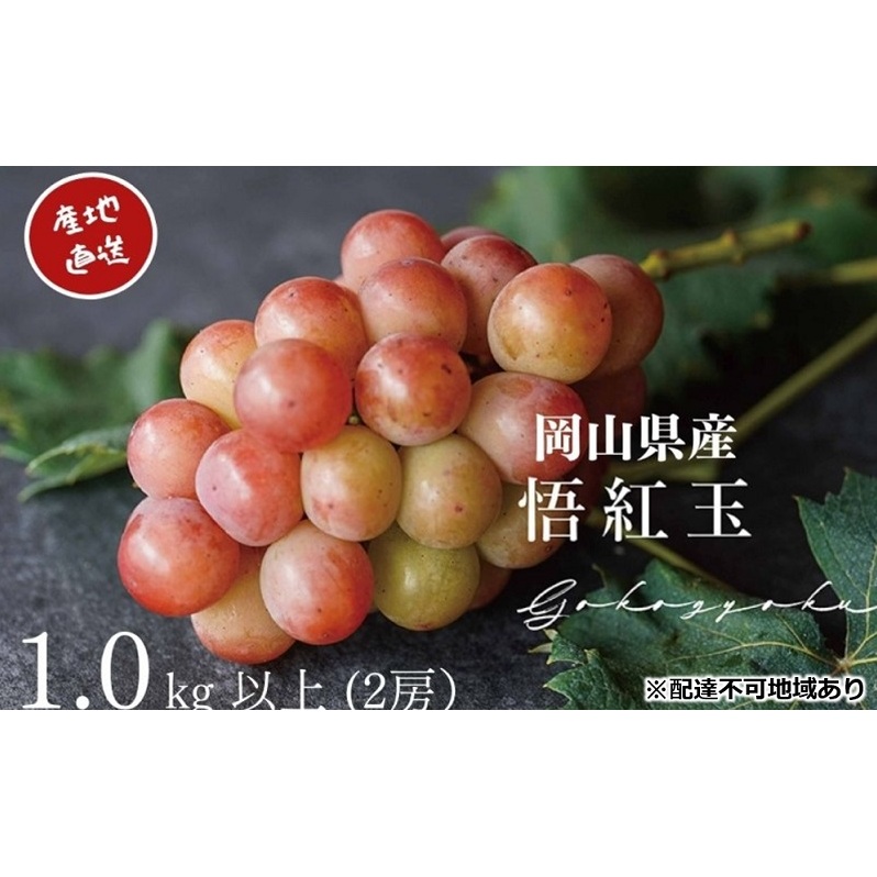 Ԃǂ g Sr[ 2[ v1.0kgȏ Yn ̂ Ԃǂ  R Kawahara Green Farm2025N Rʖs12000ʕEt[c}XJbgEԂǂ