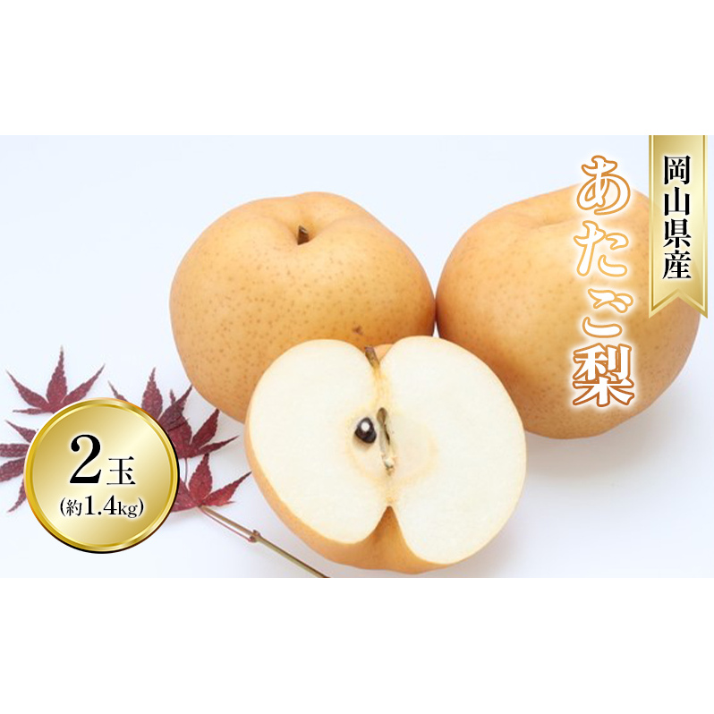 梨 2025年 先行予約 あたご梨 2玉 青秀以上 (約1.4kg) 化粧箱入り 岡山県玉野市18000果物・フルーツりんご・梨