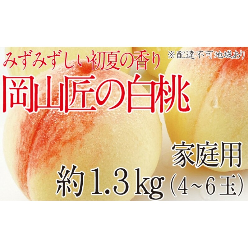 もも 2025年 先行予約 岡山匠の白桃 約1.3kg 4〜6玉 犬塚農園 岡山県産 白桃 桃 モモ 家庭用 初夏 みずみずしい岡山県玉野市12000果物・フルーツもも・すもも