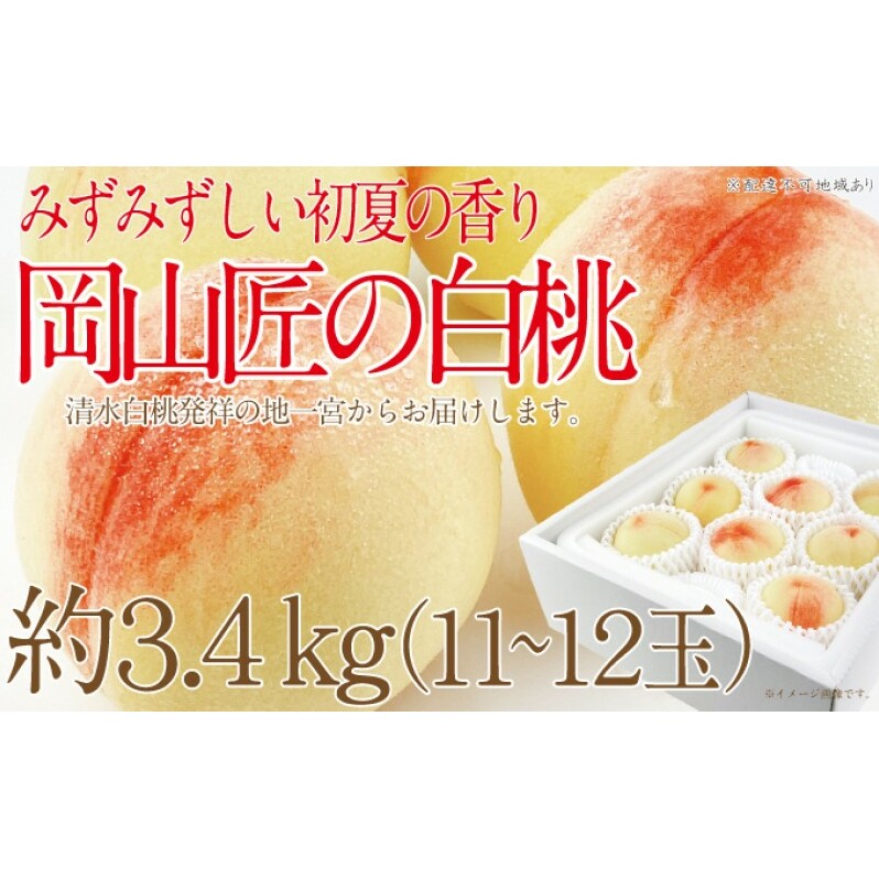 もも 2025年 先行予約 岡山匠の白桃 約3.4kg 11〜12玉 犬塚農園 岡山県産 白桃 桃 モモ ギフト 初夏 みずみずしい岡山県玉野市47000果物・フルーツもも・すもも