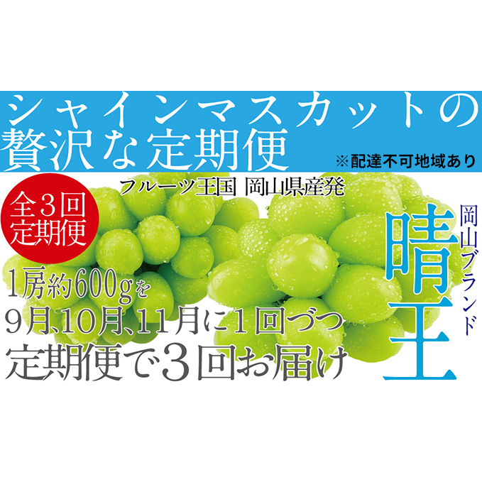 【×】ぶどう 2024年 9月・10月・11月発送 シャイン マスカット 晴王 1房 約600g ブドウ 葡萄 岡山県産 国産 フルーツ 果物 ギフト岡山県玉野市66000果物・フルーツマスカット・ぶどう