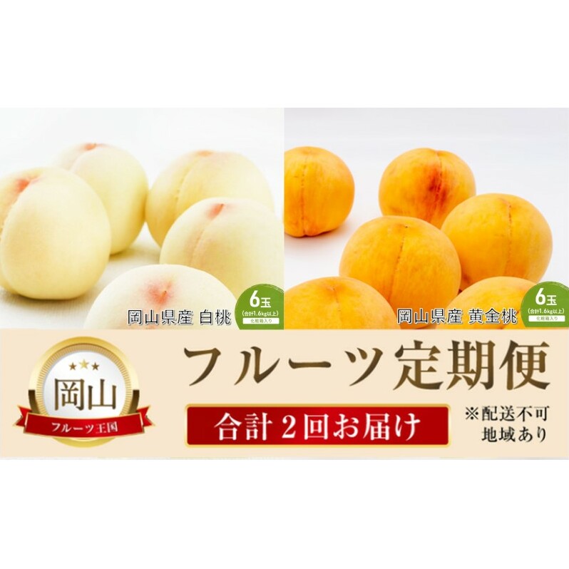   2026N s\ ̍ R  t[c  2R[X Hה RY Y Zbg MtgRʖs55000ʕEt[cE