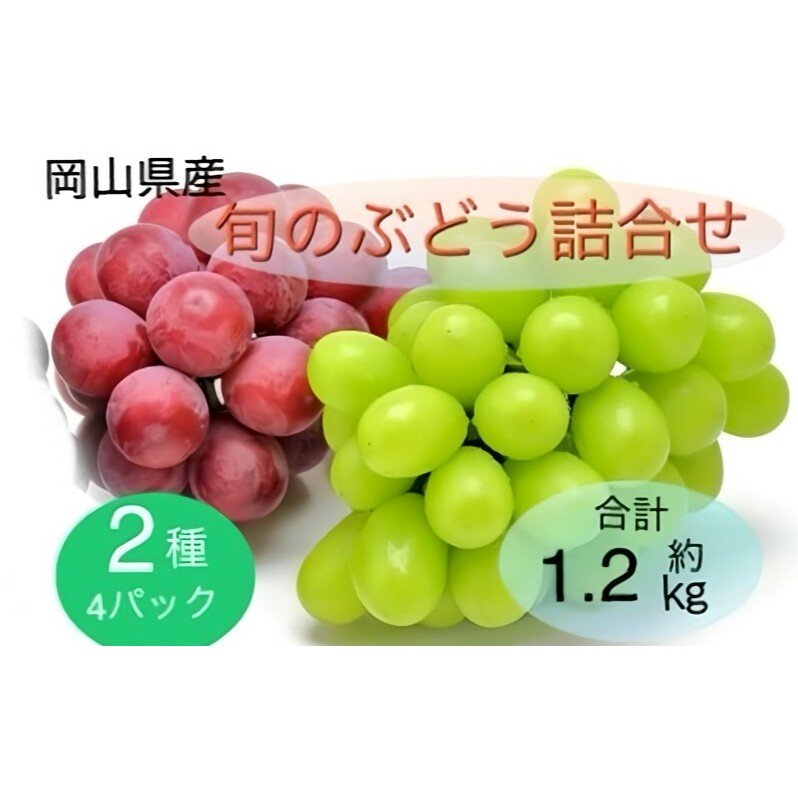 ぶどう 2025年 先行予約 旬のぶどう詰合せ 2種4パックセット(シャインマスカット晴王 約300g×2P、旬のぶどうお任せ 約300g×2P)岡山県玉野市24000果物・フルーツマスカット・ぶどう