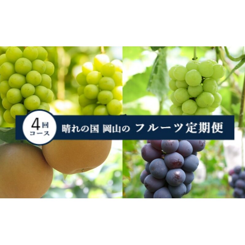 【2025年 先行予約 】晴れの国 岡山 の フルーツ 定期便 4回コース 岡山県産 葡萄 ぶどう 梨 なし岡山県玉野市87000果物・フルーツマスカット・ぶどう