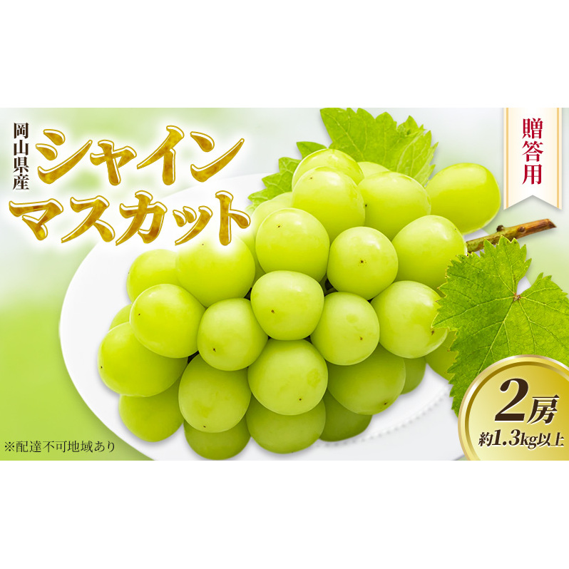 p RY VC}XJbg 2[ 1.3kgȏ ԂǂRʖs50000ʕEt[c}XJbgEԂǂ